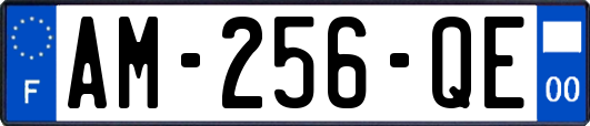 AM-256-QE