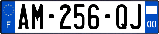 AM-256-QJ