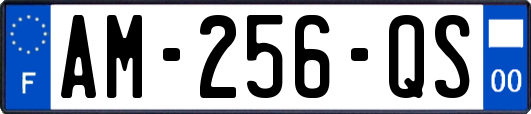 AM-256-QS