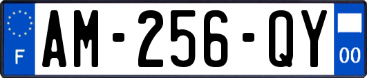 AM-256-QY
