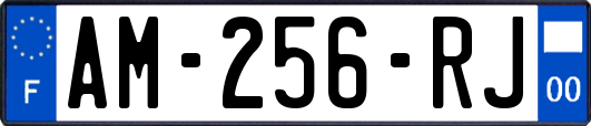 AM-256-RJ