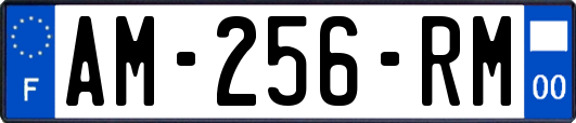 AM-256-RM