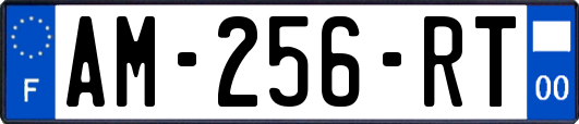 AM-256-RT