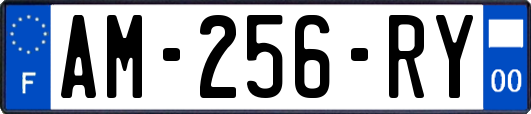 AM-256-RY