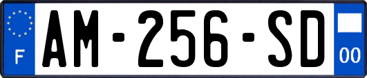 AM-256-SD
