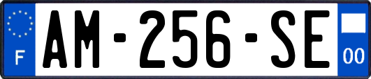 AM-256-SE