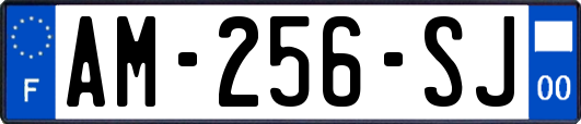 AM-256-SJ
