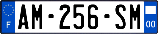 AM-256-SM