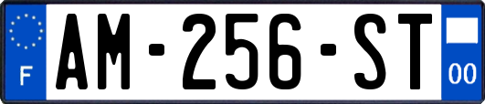 AM-256-ST
