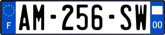 AM-256-SW