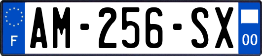 AM-256-SX