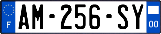 AM-256-SY