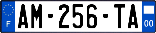 AM-256-TA