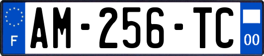 AM-256-TC