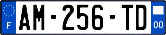 AM-256-TD