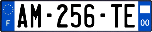 AM-256-TE