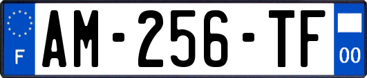AM-256-TF