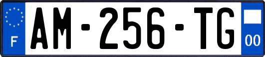 AM-256-TG