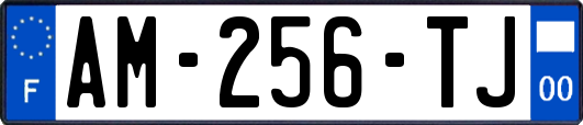 AM-256-TJ