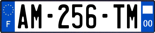 AM-256-TM