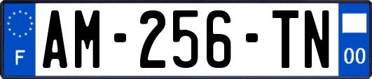 AM-256-TN