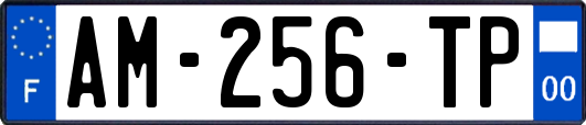 AM-256-TP