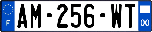 AM-256-WT