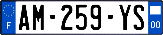 AM-259-YS