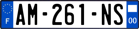 AM-261-NS