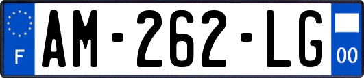 AM-262-LG