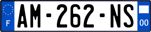AM-262-NS