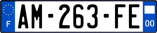 AM-263-FE