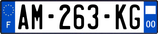AM-263-KG
