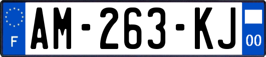 AM-263-KJ