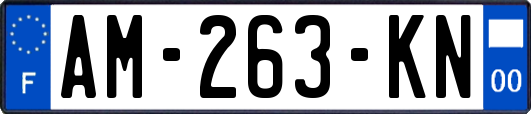 AM-263-KN