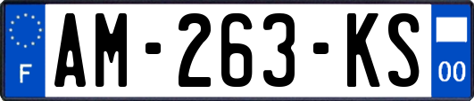 AM-263-KS