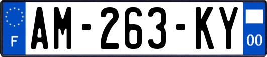 AM-263-KY