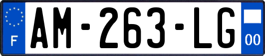 AM-263-LG