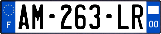 AM-263-LR