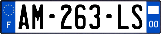 AM-263-LS
