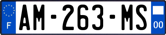 AM-263-MS