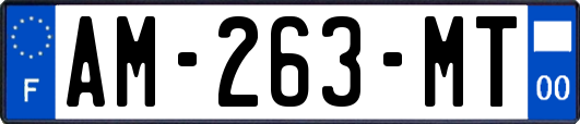 AM-263-MT