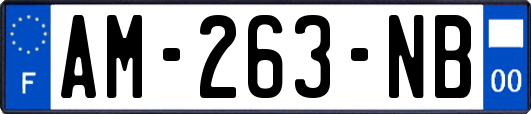 AM-263-NB