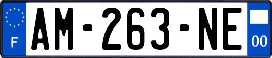AM-263-NE