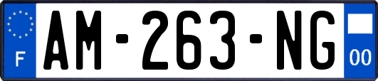 AM-263-NG