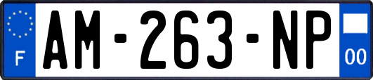 AM-263-NP