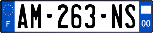 AM-263-NS