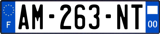 AM-263-NT
