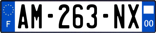 AM-263-NX