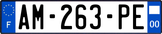 AM-263-PE